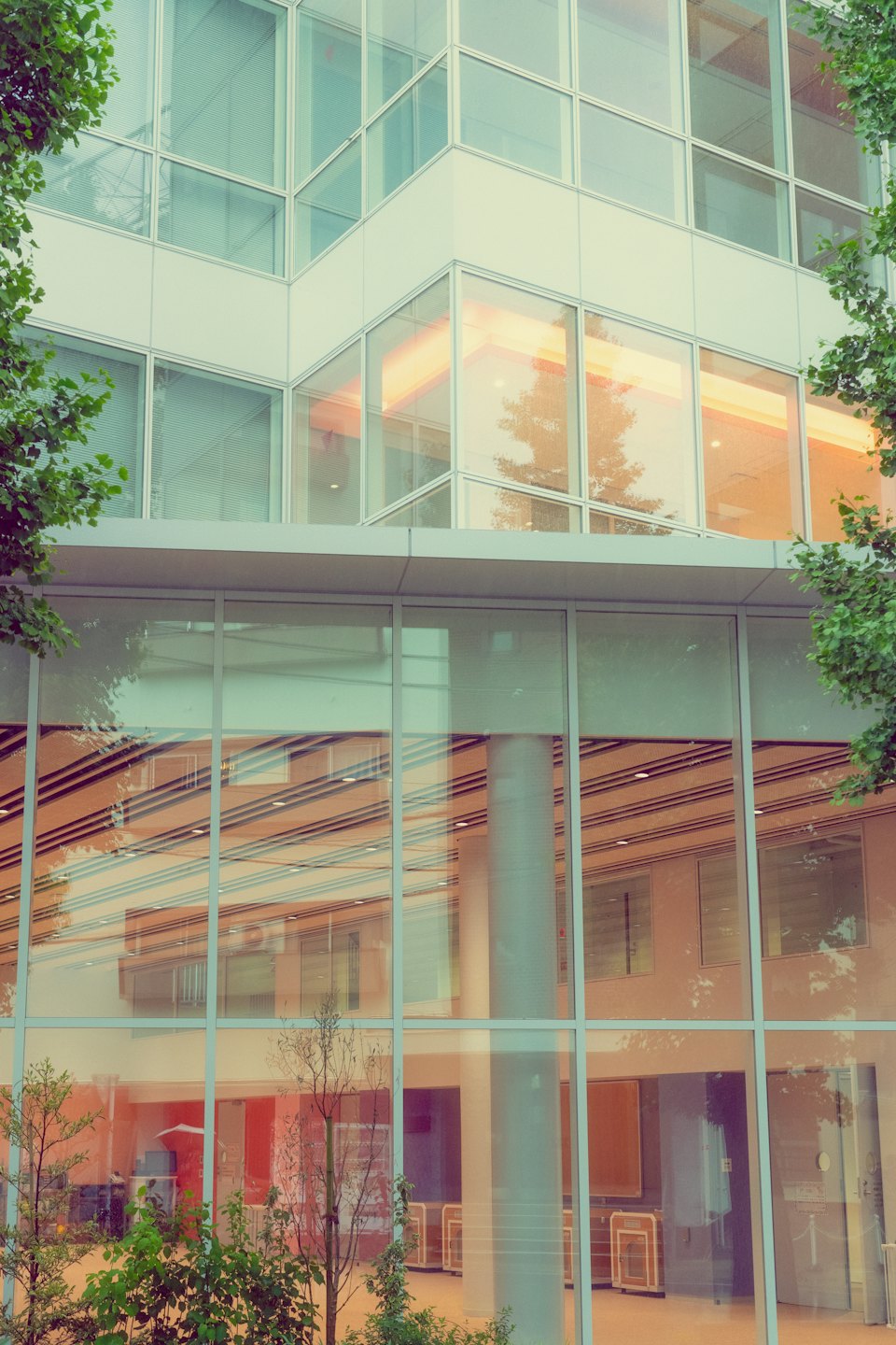 Modernes Glas-Bürogebäude, umgeben von grünen Bäumen.